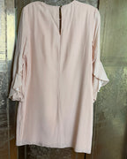 112 - Alice + Olivia Blush Silk Dress Size M — photo 2: back view