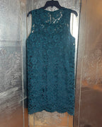 DKNY Sleeveless Floral Lace Shift Dress Size L - detail view 6
