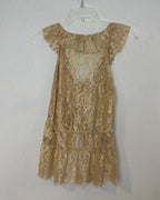 Zara Collection Beige Lace Dress Size EUR M (USA M, MEX 28) — 04 back